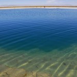 laguna cejar atacama
